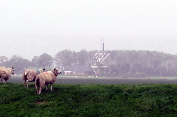 Het Friese platte land,