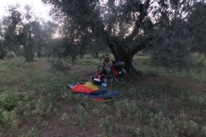 Mijn slaapplaats in de natuur, onder de olijvenboom.
