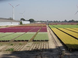 2016-09-150015_formaat-wijzigen